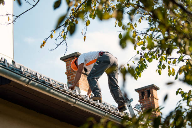 Best Slate Roofing Contractor  in Fort Recovery, OH