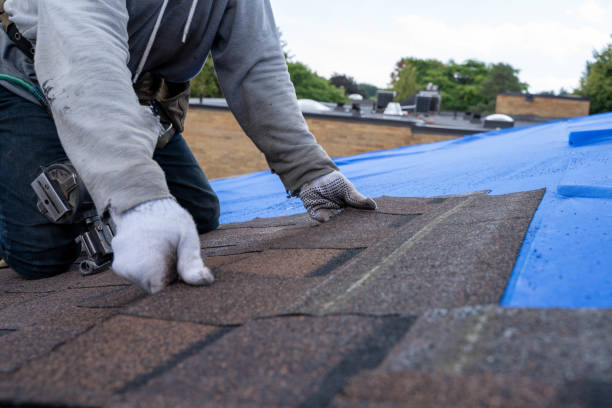 Best Roof Waterproofing Services  in Fort Recovery, OH