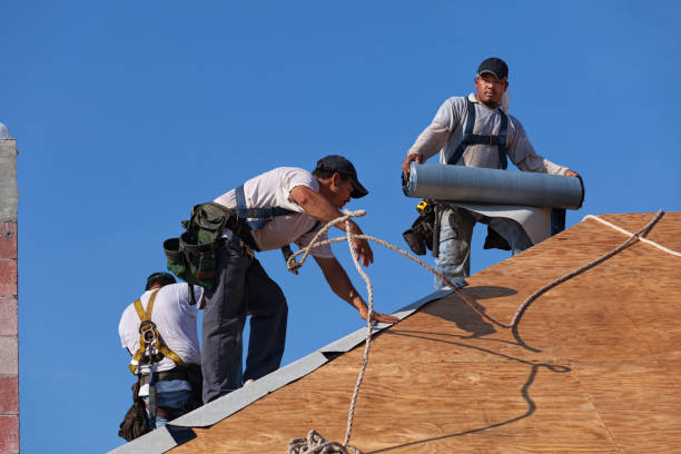 Best Roof Leak Repair  in Fort Recovery, OH