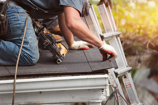 Best Roof Repair Services  in Fort Recovery, OH