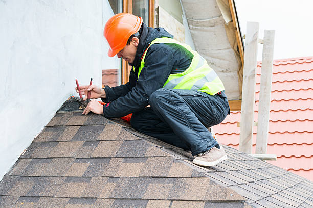 Best Roof Gutter Cleaning  in Fort Recovery, OH